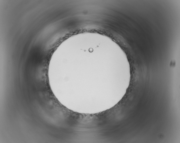X0000113960824200909251024