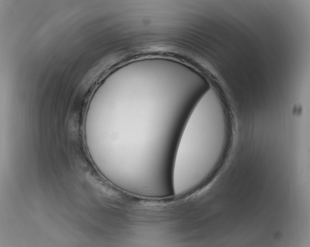 X0000113960825200909251024