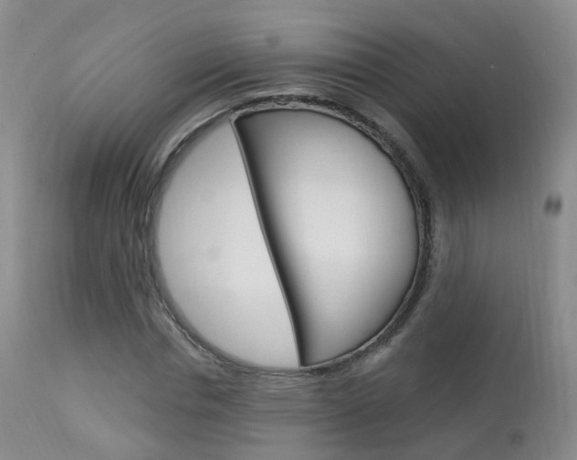 X0000113960826200909251024