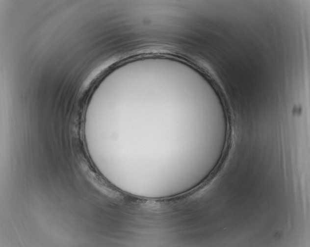 X0000113960827200909251024
