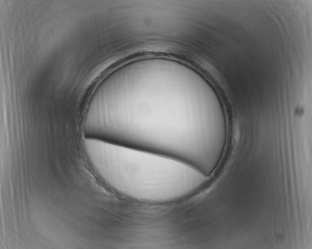 X0000113960829200909251024