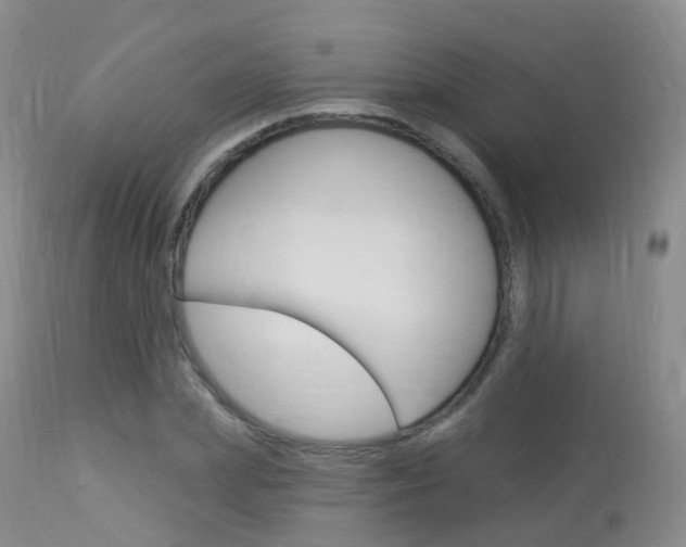 X0000113960831200909251024
