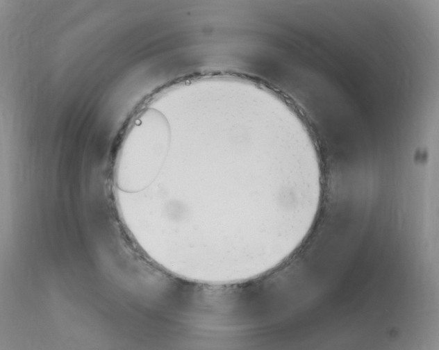 X0000113960832200909251024
