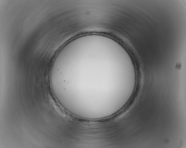 X0000113960833200909251024