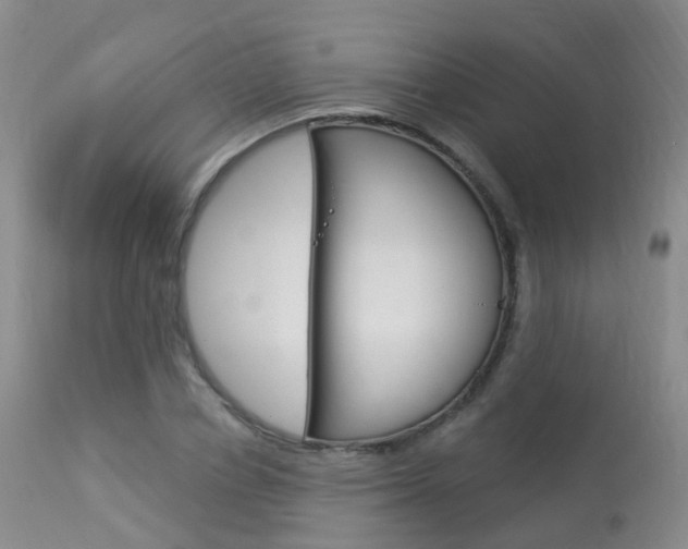 X0000113960834200909251024