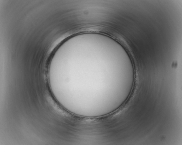 X0000113960835200909251024