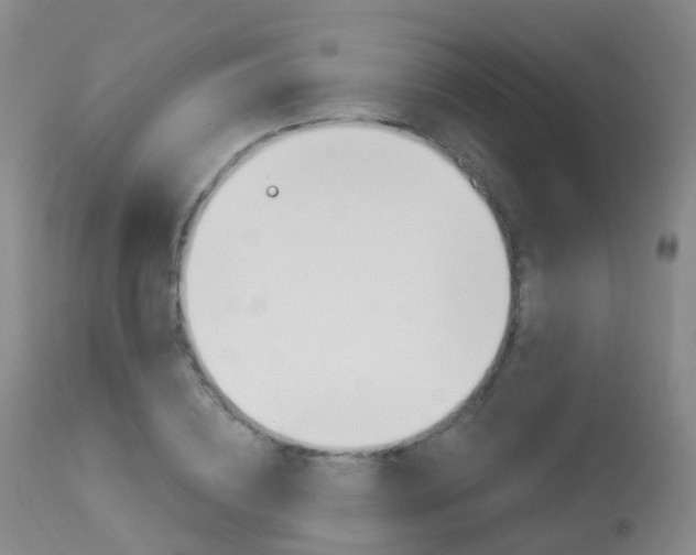 X0000113960836200909251024