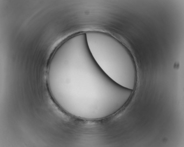 X0000113960839200909251024