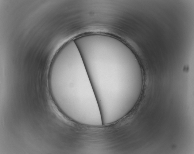 X0000113960840200909251024