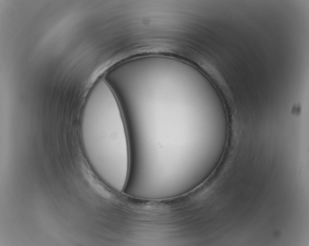 X0000113960842200909251024