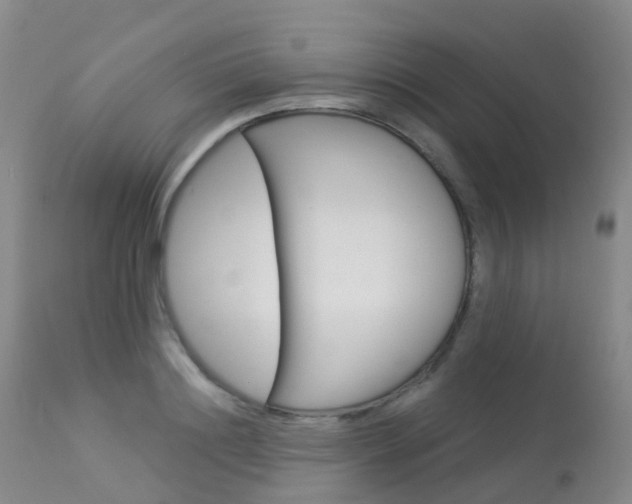 X0000113960844200909251024