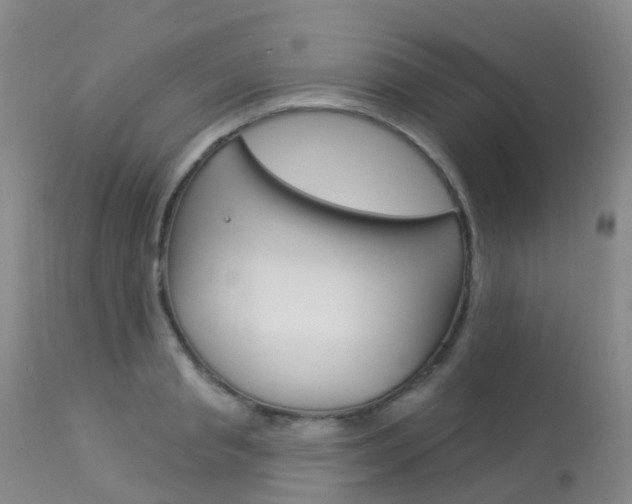 X0000113960845200909251024