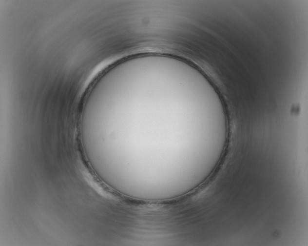 X0000113960846200909251024