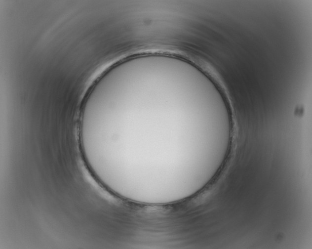 X0000113960847200909251024