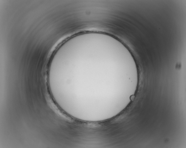 X0000113960848200909251024