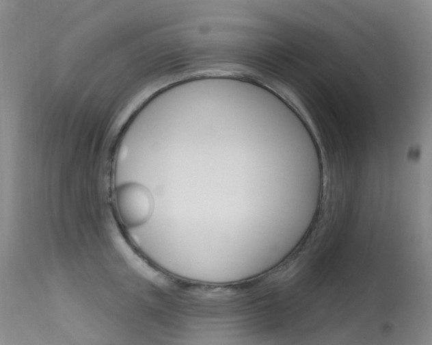 X0000113960851200909251024