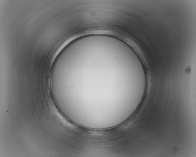 X0000113960852200909251024