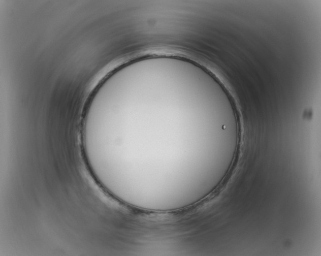 X0000113960853200909251024