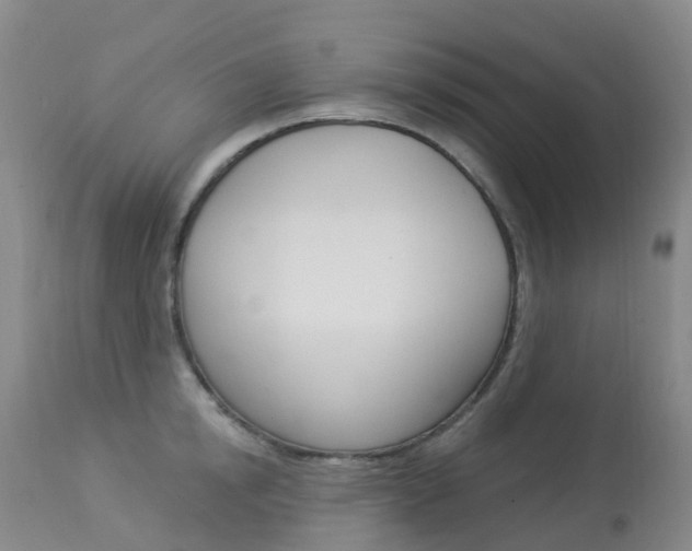 X0000113960854200909251025