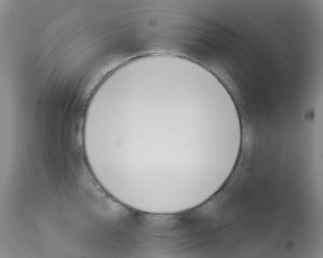 X0000113960856200909251025