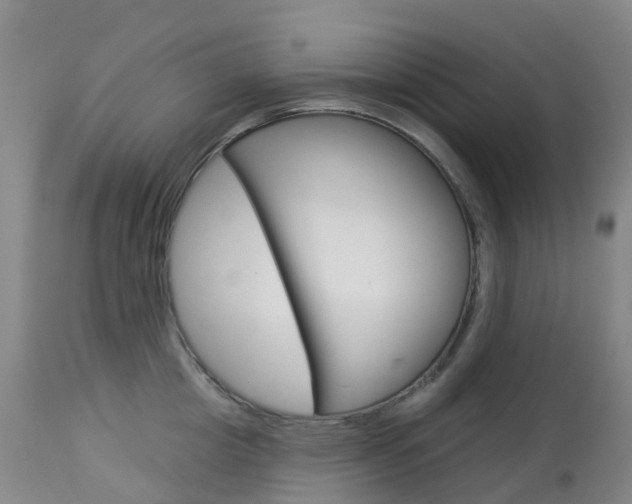 X0000113960857200909251025