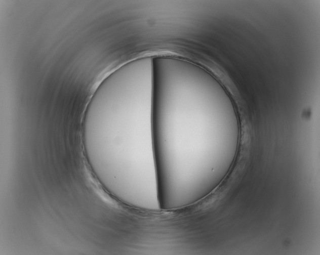 X0000113960858200909251025
