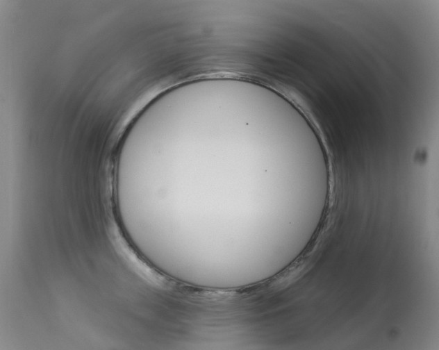 X0000113960859200909251025