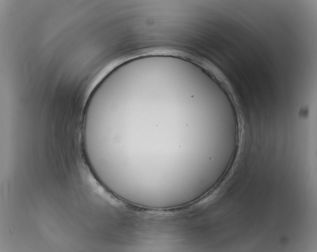 X0000113960860200909251025