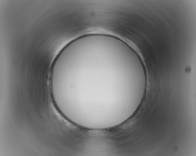 X0000113960863200909251025