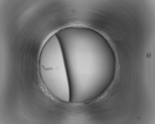 X0000113960864200909251025