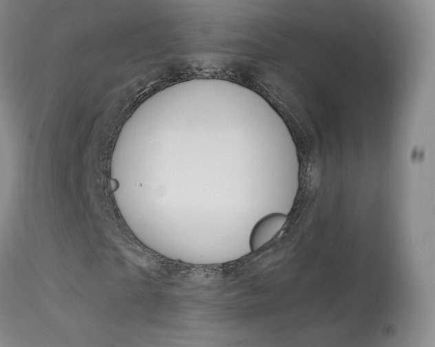 X0000113960865200909251024