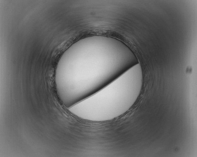 X0000113960867200909251024