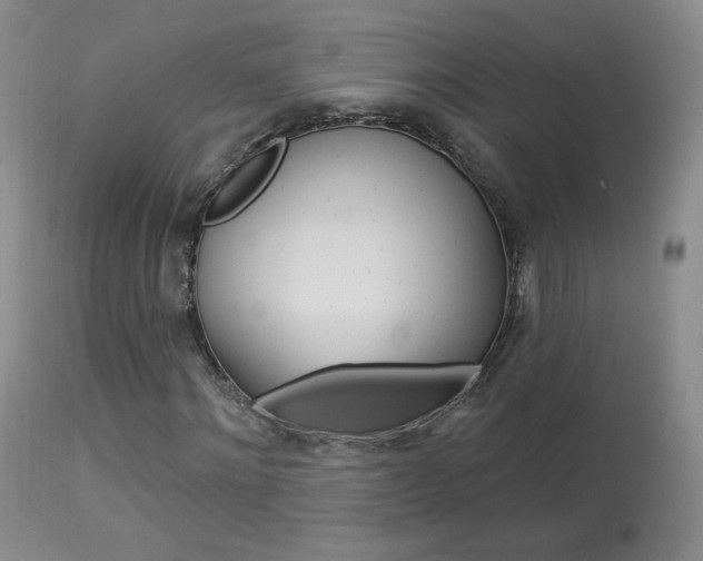 X0000113960868200909251024