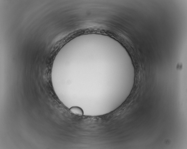 X0000113960869200909251024