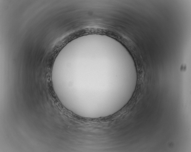 X0000113960870200909251024