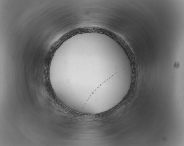 X0000113960871200909251024