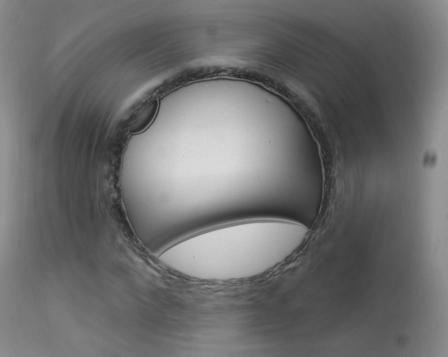 X0000113960872200909251024