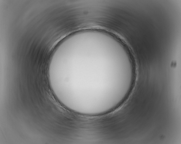 X0000113960873200909251024