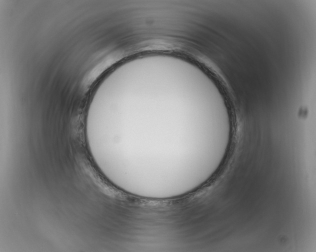 X0000113960874200909251024