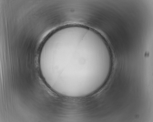 X0000113960878200909251024