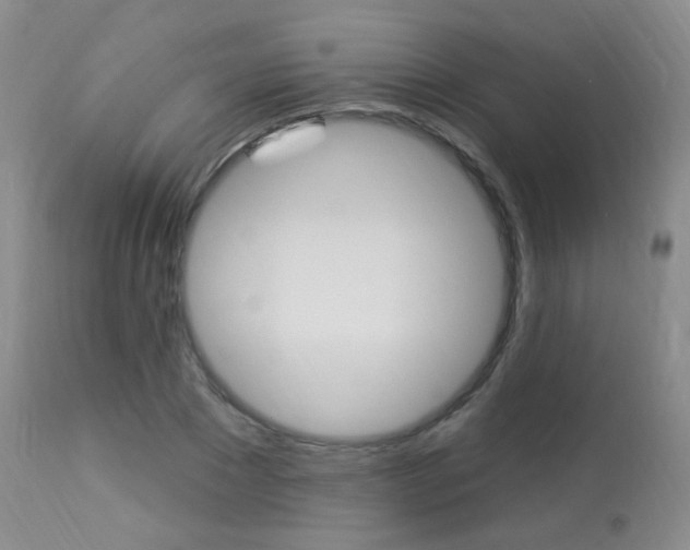 X0000113960881200909251024