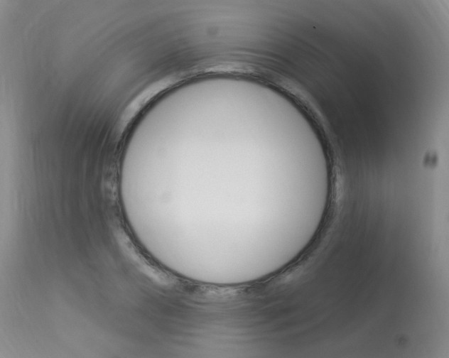 X0000113960882200909251024