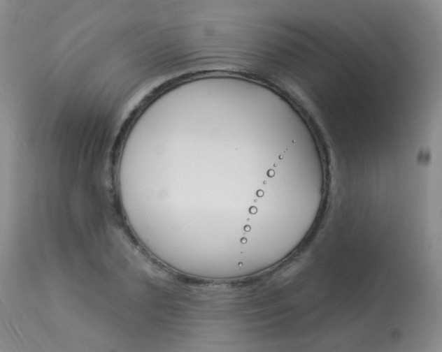 X0000113960883200909251024