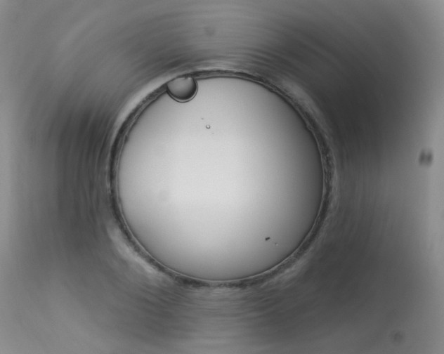 X0000113960884200909251024