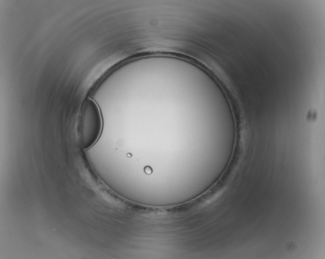 X0000113960885200909251024