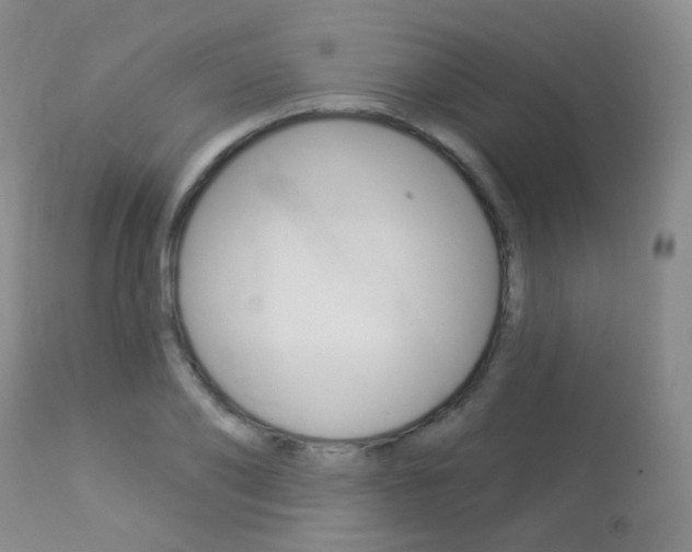 X0000113960886200909251024