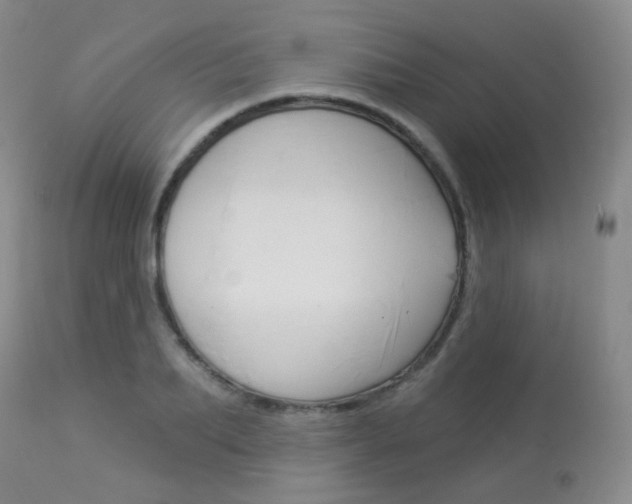 X0000113960887200909251024