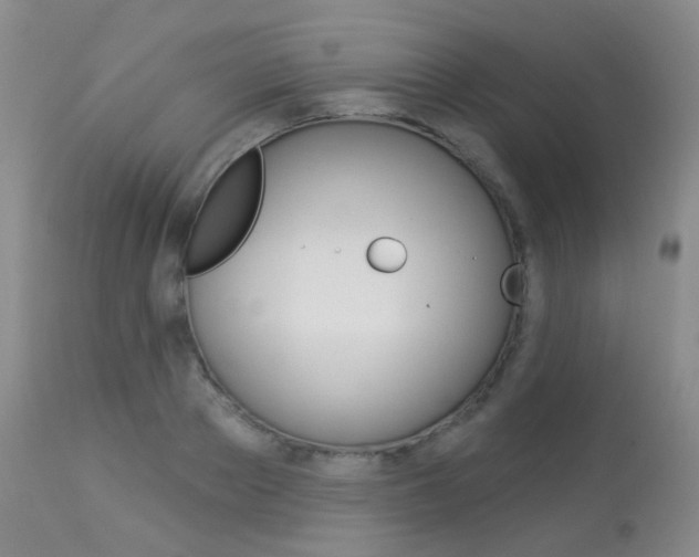 X0000113960889200909251024