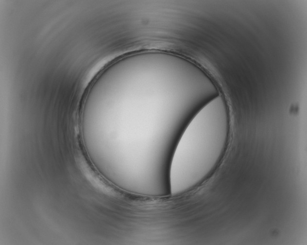 X0000113960891200909251024