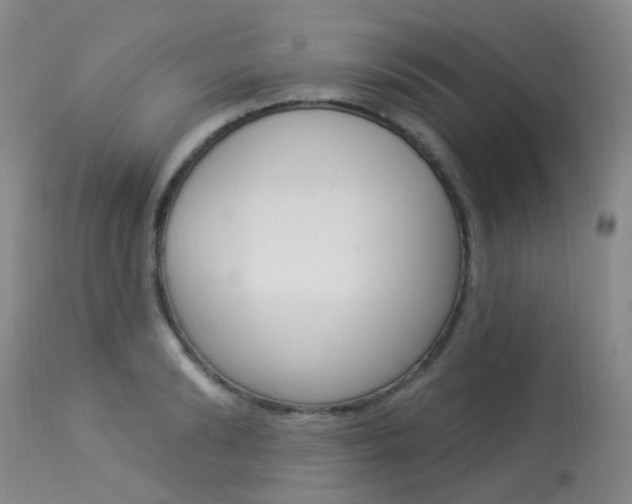 X0000113960894200909251024
